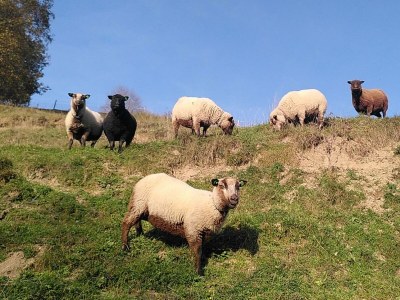 Apartment Appartement "Fine and Fancy" - Outdoor photo 25