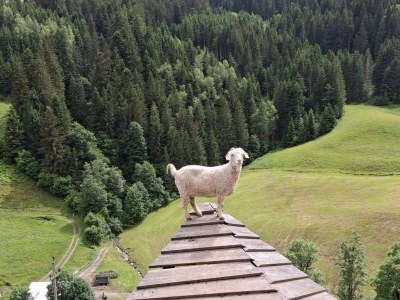 Apartment Appartement "Fine and Fancy" - Outdoor photo 26