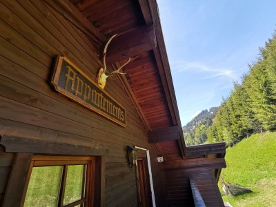 Apartment ENZIAN - Outdoor photo 17