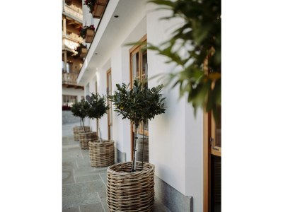 Holiday room Luis/Luise - Outdoor photo 30