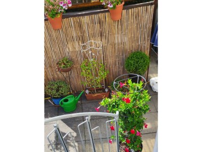 Apartment Appartement/Fewo, Dusche und Bad, WC, Deluxe - Outdoor photo 11