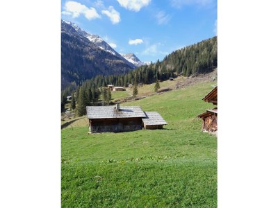 Apartment Hütte - Outdoor photo 6