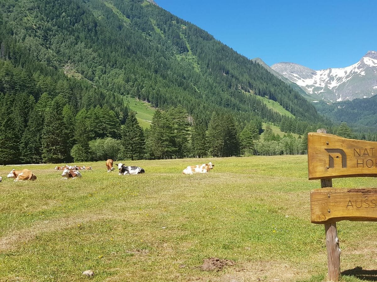 Apartment Ferienhaus - Outdoor photo 4