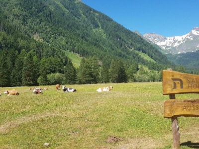 Apartment Ferienhaus - Outdoor photo 4