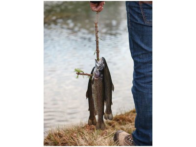 Apartment Kärntner Chalet "Landhaus" - Outdoor photo 33