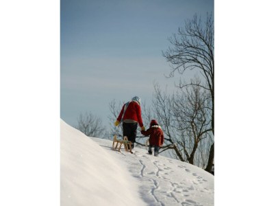 Apartment Kärntner Chalet "Landhaus" - Outdoor photo 43