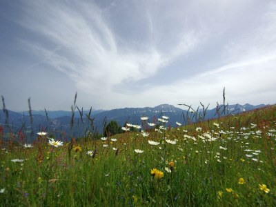 Holiday room Einzelzimmer - Outdoor photo 9