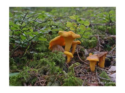 Holiday room Einzelzimmer - Outdoor photo 23