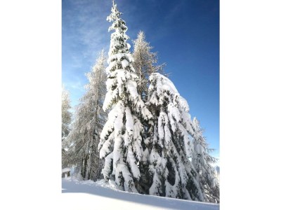 Holiday room Einzelzimmer - Outdoor photo 54