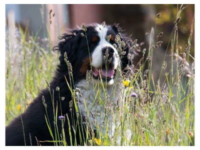 Holiday room Doppelzimmer - Outdoor photo 21