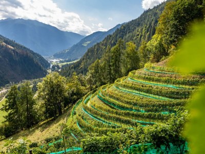 Holiday room Doppelzimmer - Outdoor photo 27