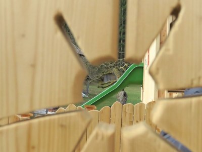 Apartment Ferienhaus Lindenhof - Outdoor photo 12