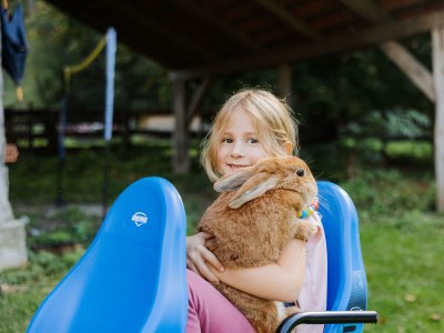 Apartment Ferienhaus Lindenhof - Outdoor photo 19