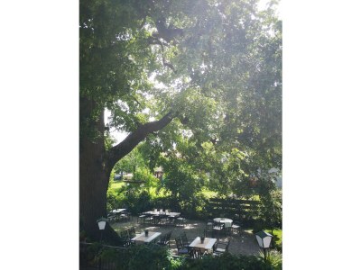 Apartment Ferienhaus Lindenhof - Outdoor photo 20