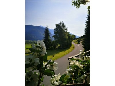 Apartment Ferienhaus Lindenhof - Outdoor photo 31