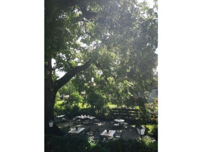 Apartment Ferienhaus Lindenhof - Features photo 37