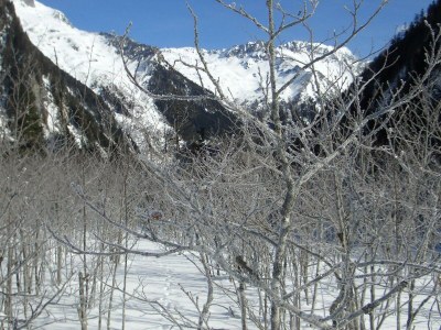 Apartment Alpenhome PLUS Apartment [7] - Outdoor photo 15