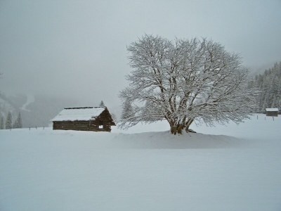 Apartment Alpenhome PLUS Apartment [7] - Outdoor photo 16