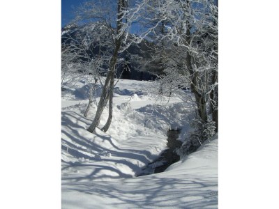 Apartment Alpenhome PLUS Apartment [7] - Outdoor photo 17