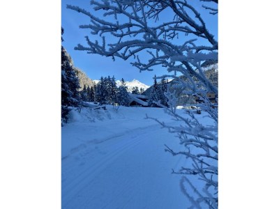 Apartment Alpenhome PLUS Apartment [7] - Outdoor photo 55