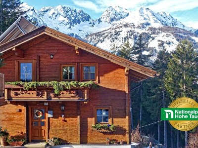 Apartment Almchalet in Großkirchheim - Apartment