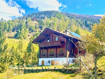 Apartment Almchalet - Outdoor photo 2