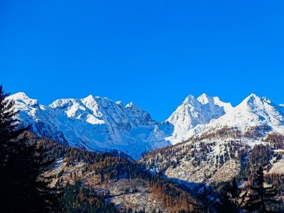 Apartment Almchalet - Outdoor photo 8