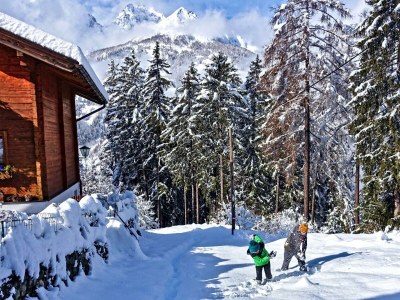 Apartment Almchalet - Outdoor photo 9