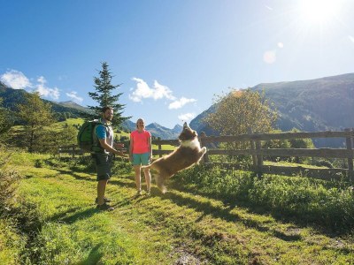 Apartment Almchalet - Outdoor photo 11