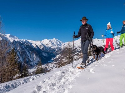 Apartment Almchalet - Outdoor photo 16