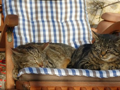 Apartment Almchalet - Outdoor photo 24