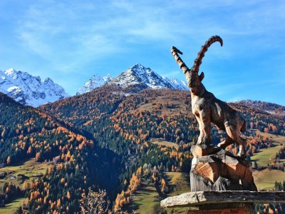 Apartment Almchalet - Outdoor photo 27