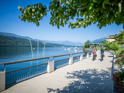 Apartment Almchalet - Outdoor photo 29