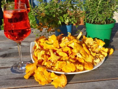 Apartment Almchalet - Outdoor photo 31