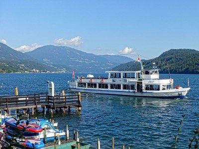 Apartment Almchalet - Outdoor photo 35