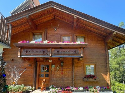 Apartment Almchalet - Outdoor photo 37