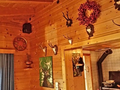 Apartment Almchalet - Features photo 47