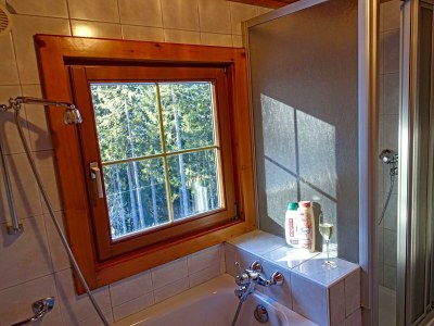 Apartment Almchalet - Features photo 51