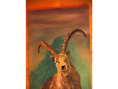 Apartment Almchalet - Features photo 53