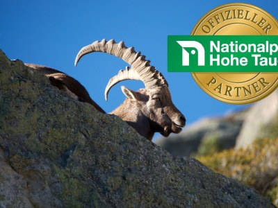 Apartment Almchalet - Features photo 54