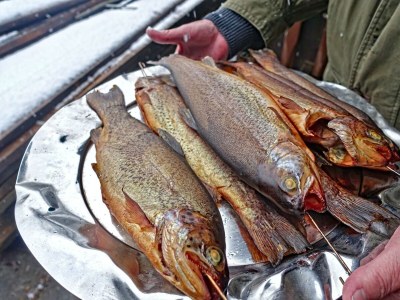 Apartment Almchalet - Features photo 62