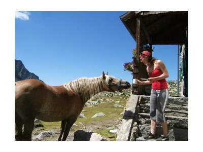 Holiday room Doppelzimmer Tauernhof - Outdoor photo 16