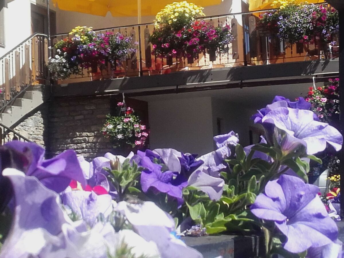 Apartment Bergblick - Outdoor photo 3