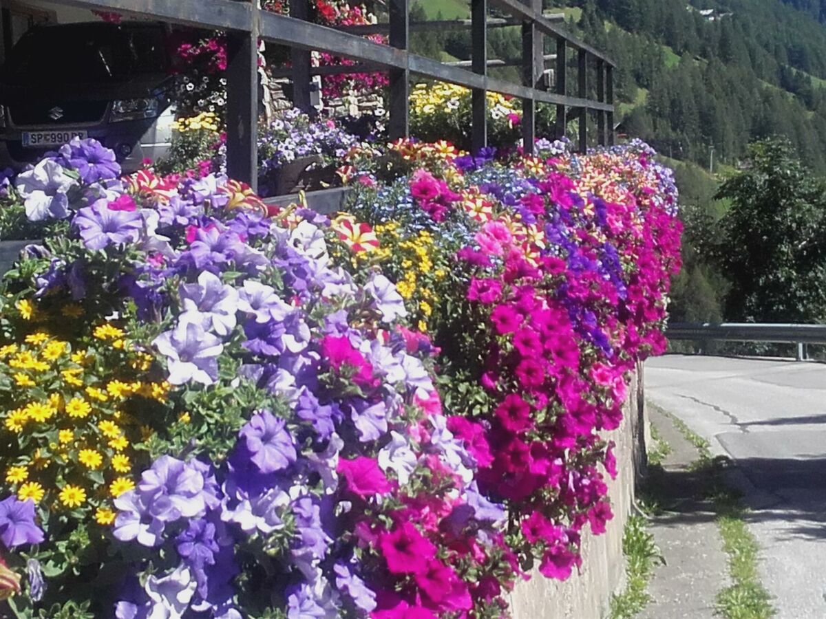 Apartment Bergblick - Outdoor photo 4
