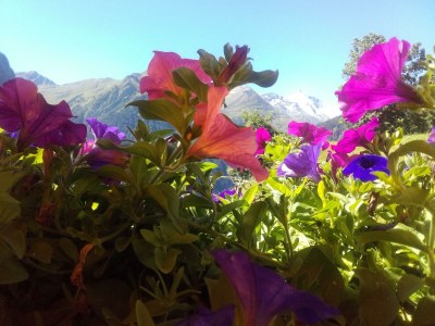 Apartment Bergblick - Outdoor photo 5