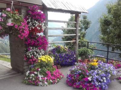 Apartment Bergblick - Outdoor photo 7