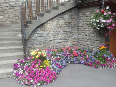 Apartment Bergblick - Outdoor photo 8