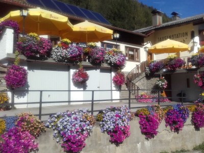 Apartment Bergblick - Outdoor photo 10