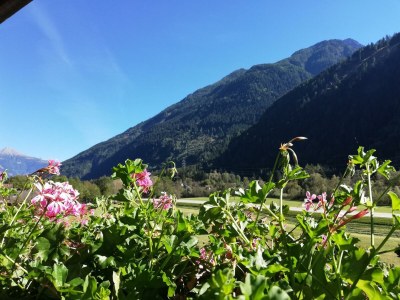 Holiday room Familien Suite - Outdoor photo 5