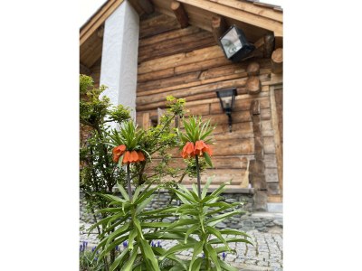 Apartment Romantikhütte - Outdoor photo 14